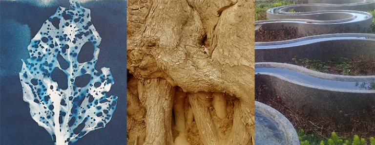 purposepath 768x298