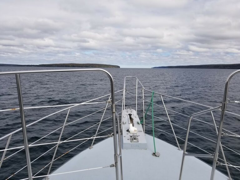from the Bow 768x576